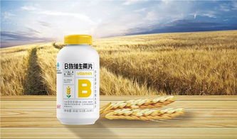 養生堂鉑金族維生素K2重磅上市，攜手富迪、順富醫藥開啟仙桃首發新篇章