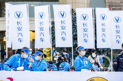 重馬十年 | 年入百萬，重馬造就財(cái)富新機(jī)遇——重慶創(chuàng)業(yè)團(tuán)隊(duì)順富醫(yī)藥的崛起之路